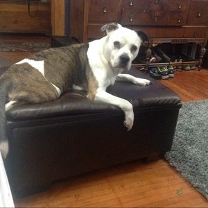 Meet your Posher, Daniel